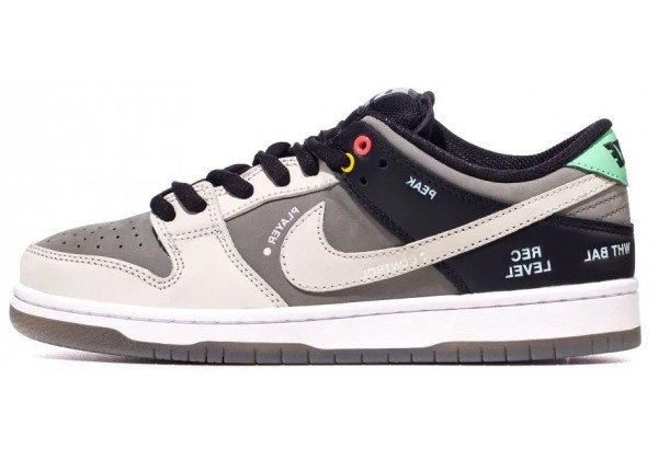 Nike SB Dunk Low VX1000 Camcorder